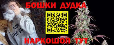мдпв Камышлов