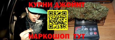 мдпв Камышлов
