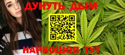 мдпв Камышлов