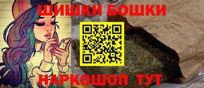 мдпв Камышлов
